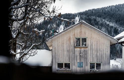 La Villa Ski Chalet | Picenin 61 Lodging