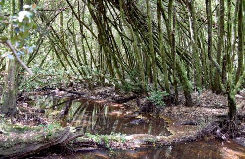 Valdivia House | Pichihuape Lodge