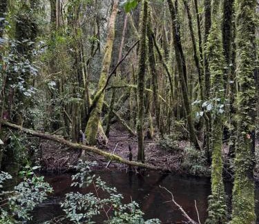 Valdivia House | Pichihuape Lodge