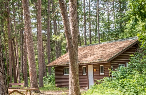 Jim Falls Cabin | Pine Cabin - Beaver Creek Reserve