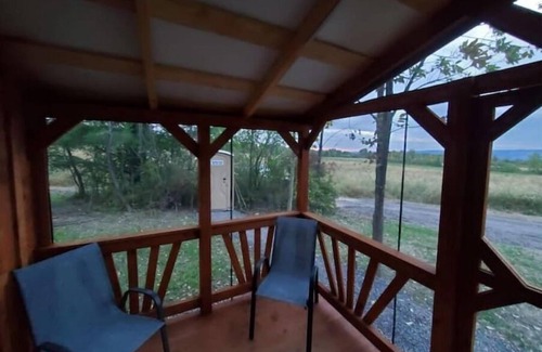Rock Stream Cabin | Pine Cone Off grid cabin near Watkins Glen, NY!