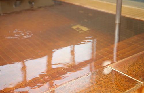 Nakatonbetsu Hotel | Pinneshiri onsen Hotel Bogakuso - Vacation STAY 31516v