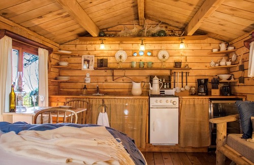Seldovia Village Cabin | Pioneer Cabin, Stunning Views, Glacier, Park, Kayaks, Fishing, Bear Viewing.