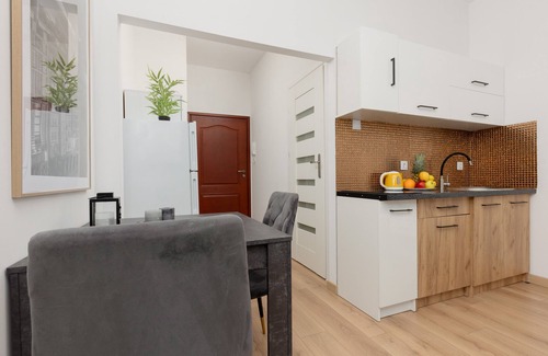 Srodmiescie Apartment | Piotrkowska Modern Studio | 2 Guest | Łódź