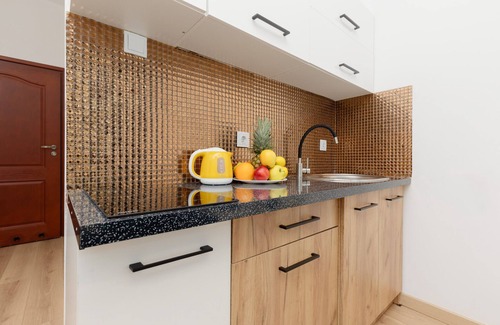 Srodmiescie Apartment | Piotrkowska Modern Studio | 2 Guest | Łódź