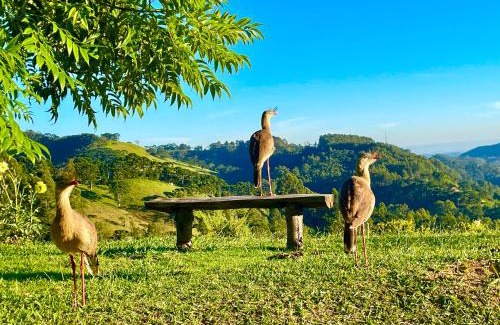 Goncalves House | Piscina e paz nas montanhas de Gonçalves