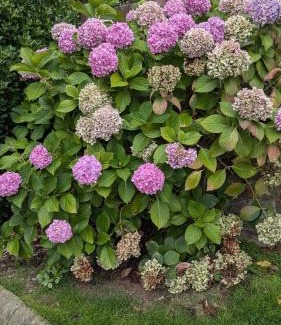 Salinas Apartment | Piso de Lujo en Salinas