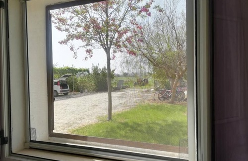 Marina di Pisticci Apartment | Pisticci: houses/villas - 4 rooms - 6 persons