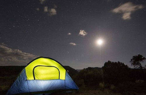 Wangelin Apartment | Pitch for tent 4 at Wangeliner Garten - campsite at Wangeliner Garten