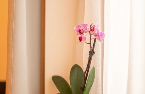 Colfosco Apartment | Piz da Cir