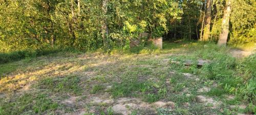 Jakunowko Other | Place for tent - Miejsce na namiot u stóp natury