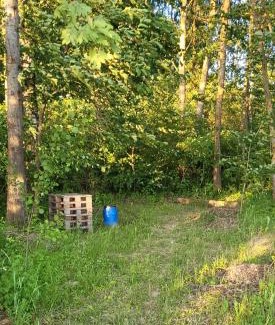Jakunowko Other | Place for tent - Miejsce na namiot u stóp natury