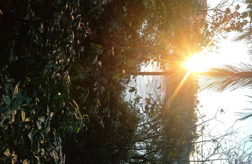 Ascurra House | Place with place for fishing