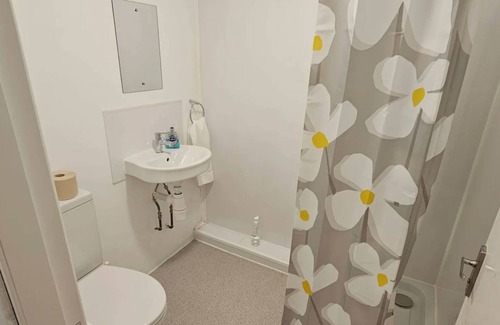 Mynydd Isa Apartment | Plas Bellin Studios