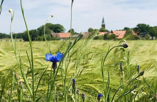 Luechow Hotel | Plater Hermann