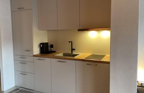 Gersau Apartment | Platten by Interhome