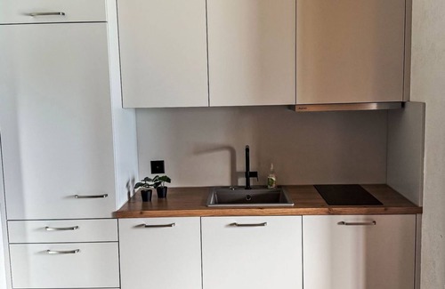 Gersau Apartment | Platten by Interhome