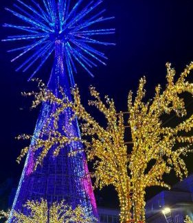 O Perpetuo Socorro Apartment | Plaza America Home