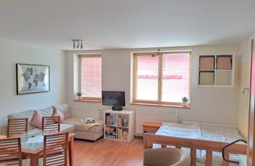 Harrachov Apartment | Plně vybavený apartmán pod Mumlavským vodopádem, ZAHRADA s ohništěm, ideální výchozí bod pro TURISTIKU, kousek do CENTRA, vybavený i pro DĚTI