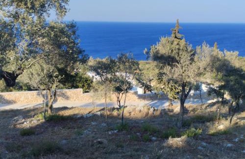 Skinaria Other | Plot to rent