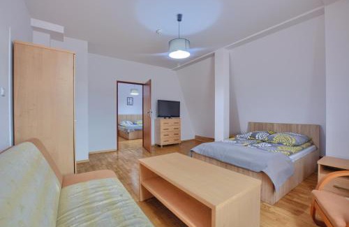 Krynica-Zdroj House | Pod Krukiem