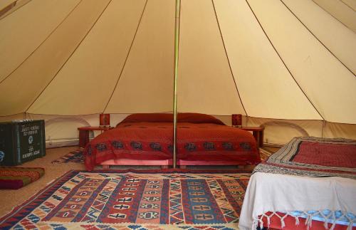 Santa Fiora Other | Podere di Maggio - Glamping tent 3