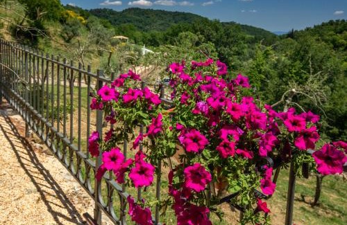 Starda House | Podere Figlinelle