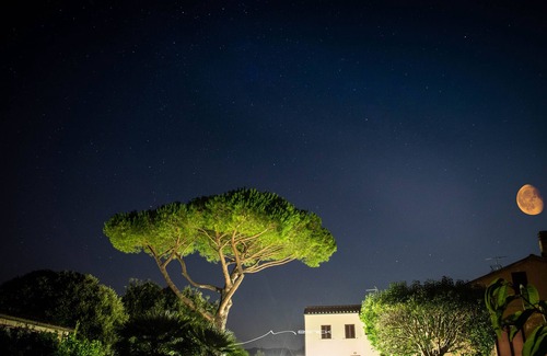 Castagneto Carducci House | Podere 'I Daini' - App. d