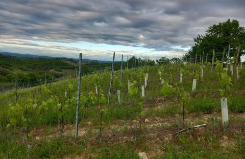 Gambassi Terme House | Podere Luma Camera Roseto - Mimosa