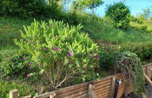 Gambassi Terme House | Podere Luma Camera Roseto - Mimosa