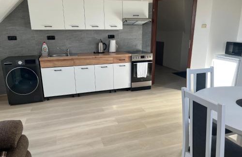 Zlonice Apartment | Podkrovní apartmán se společným bazénem