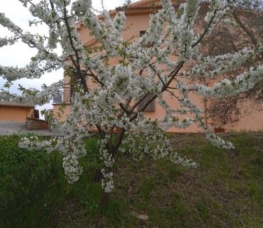 Montefiascone House | Poggio di Cammilletto
