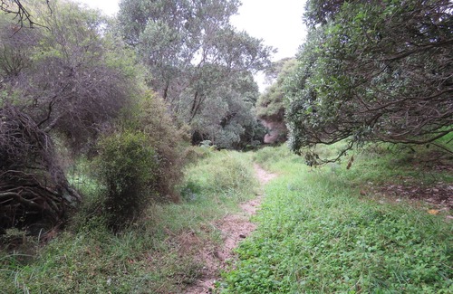 Pakiri Cabin | Pohutukawa Cottage - Seclusive cabin hideaway