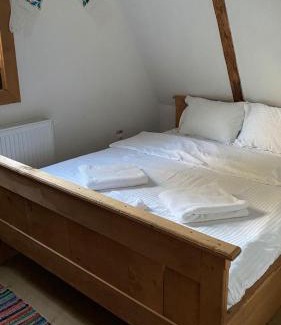 Ocna Sugatag Villa | Poiana Creasta Cocosului-Casa Papadie