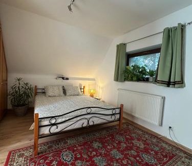 Bielsk Podlaski House | Pokój Cień Paproci