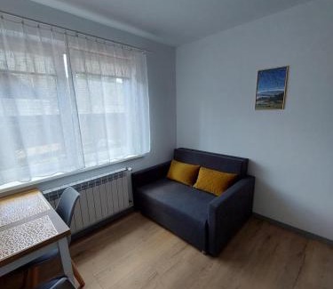 Kroscienko nad Dunajcem Apartment | Pokój studio z balkonem
