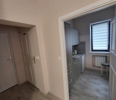 Zyrardow Apartment | Pokój z aneksem kuchennym