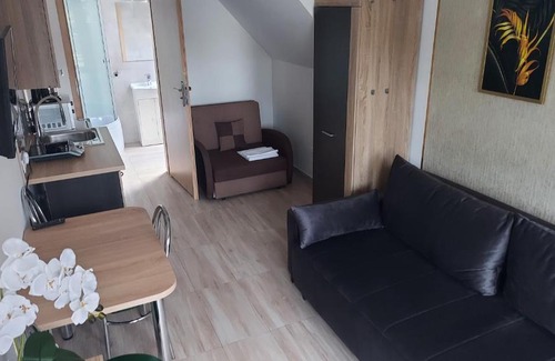 Rogowo Apartment | Pokoje gościnne Silver