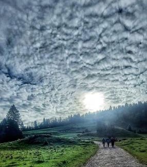 Jaworki House | Pokoje u Waligóry Jaworki