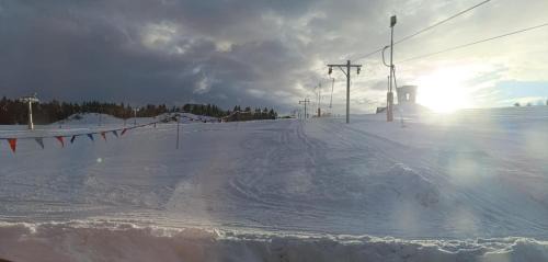 Jaworki House | Pokoje u Waligóry Jaworki