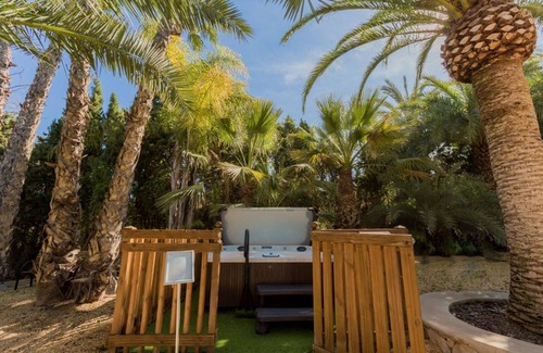 Alicante Apartment | Pool and Jacuzzi surrounded by palm trees, tranquility and open air