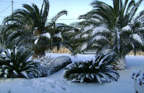 Rafina-Pikermi Villa | Pool villa near airport/near Rafina port-zoo/free car available
