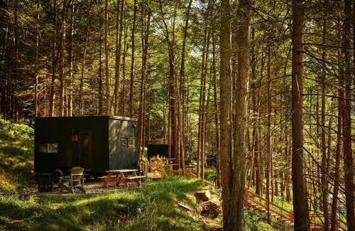 Basye Other | Postcard Cabins Shenandoah North