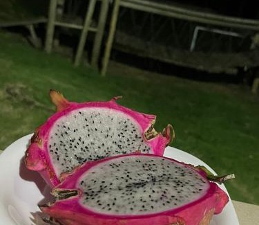 Bueno Brandao Hotel | pousada alto da cachoeira