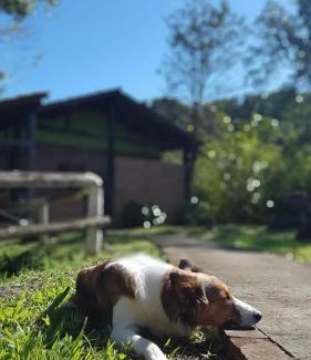 Eldorado Ski Chalet | Pousada Arapassu