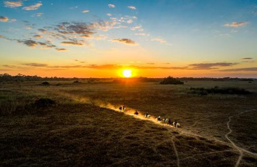 Carvoalzinho Hotel | Pousada Araras Pantanal Eco Lodge