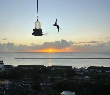 Santo Antonio Hotel | Pousada Beija Flor