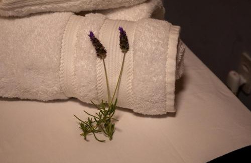 Mucuge Hotel | Pousada Céu da Chapadha