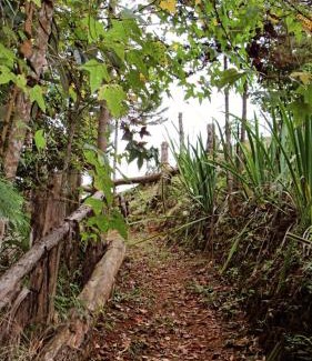 Caparao National Park Hotel | Pousada Casa Primitivus