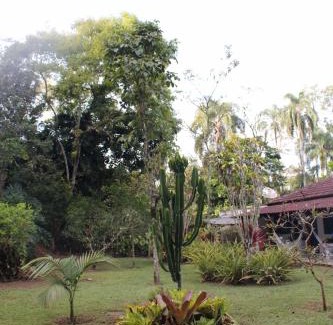 Ipiabas Hotel | Pousada do Campo